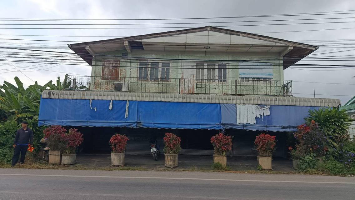 บ้านเเละที่ดินติดถนนใหญ่ ป่าซาง ลำพูน 2