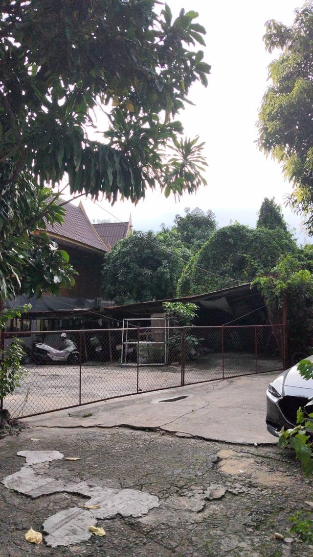 ขายที่ดิน พร้อมสิ่งปลูกสร้าง ย่านยานนาวา‼️ 7