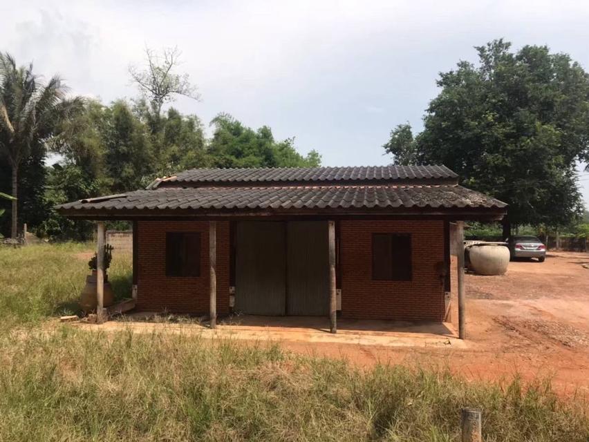 บ้านพร้อมที่ดิน13ไร่ 2