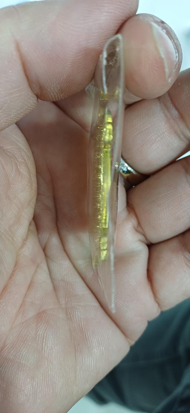 พญาเต่าเรือนลงยา หลวงปู่หลิว รุ่นสุขใจ รูปที่ 4