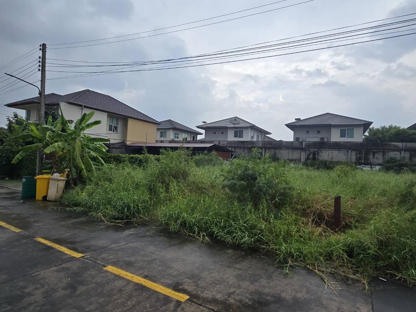 ที่ดิน แขวงดอกไม้ เฉลิมพระเกียรติ ร.9 ซอย 62 3