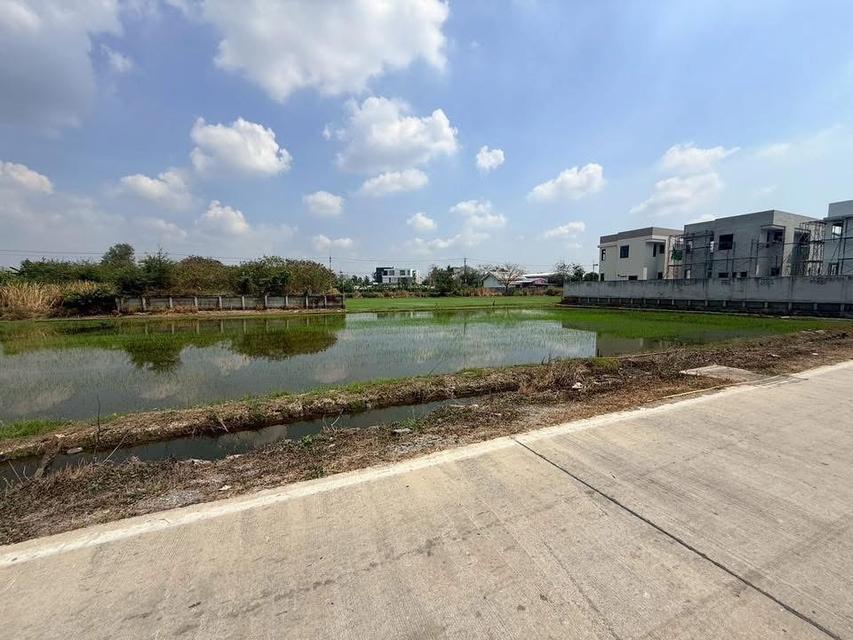 ขายด่วนที่ดิน 367 ตรว ติดถนนคอนกรีตสาธารณะ (แบ่งได้)  ศาลายา อ.พุทธมณฑล จ.นครปฐม 4