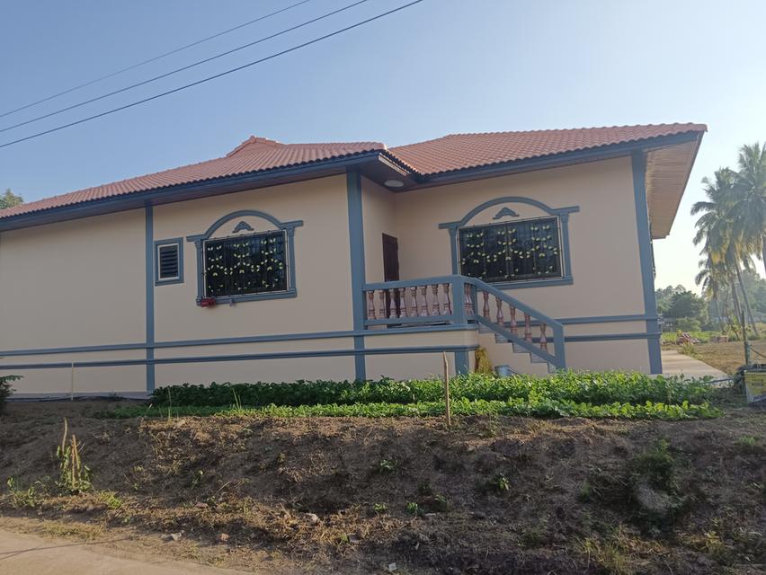 บ้านเดี่ยวพร้อมที่ดิน 2