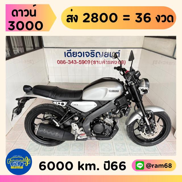 Yamaha XSR155 วิ่ง 6000 โล ปี66 1