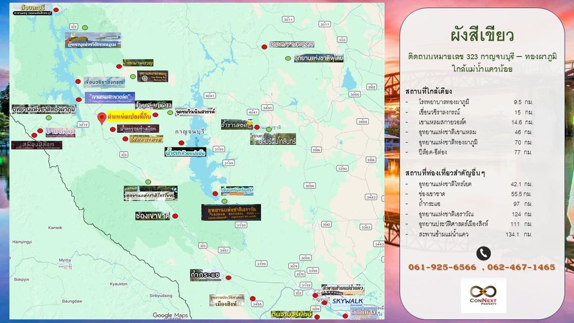 ขายที่ดินพร้อมสวนยาง ราคาดี 4