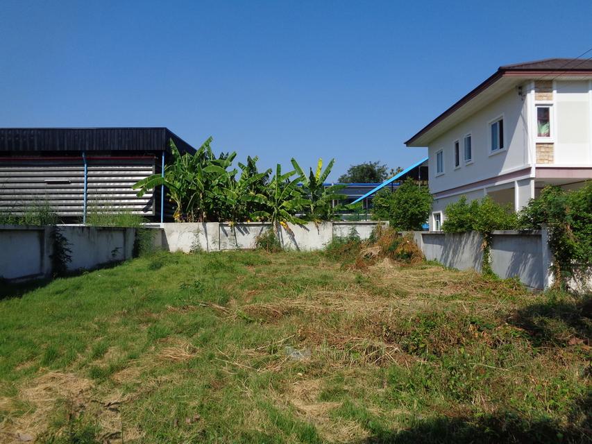 🚩 ขายที่ดินแปลงหัวมุม 129 ตารางวา ราคาถูกสุด❗ ทำเลดี ภายในโครงการหรูมีระดับ 17