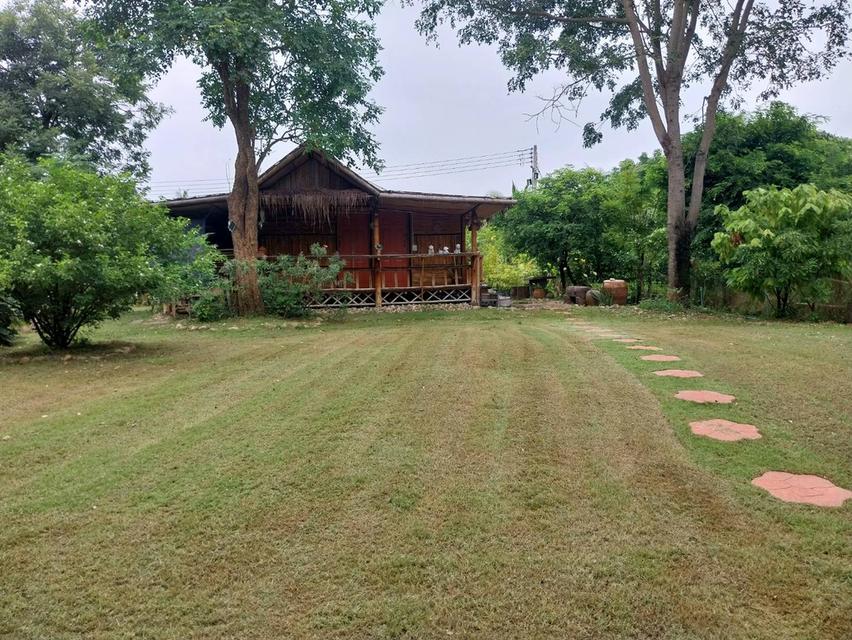 ที่ดินบ้านโป่ง จ.ราชบุรี ใกล้ทางด่วนสาย 81 บางใหญ่-กาญจนบุรี ที่ดินติดน้ำ โฉนดครุฑแดง พร้อมโอนกรรมสิทธิ์ 18