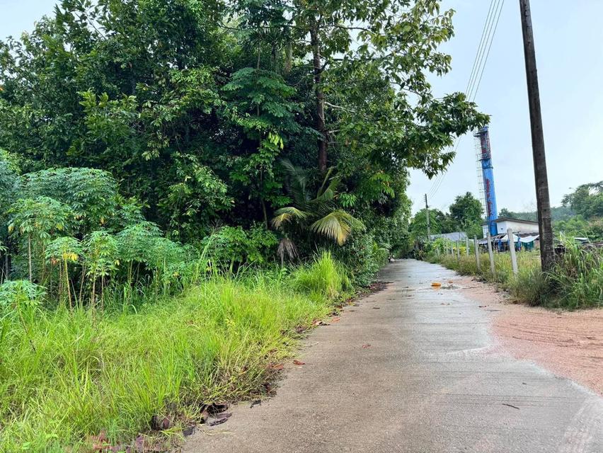 ขายที่ดินเปล่า 4-2-50 ไร่ ทำเลศักยภาพ ติดคลองกระเฉท น้ำไหลตลอดปี ใกล้นิคมอุตสาหกรรม ต.มาบข่า ระยอง 15