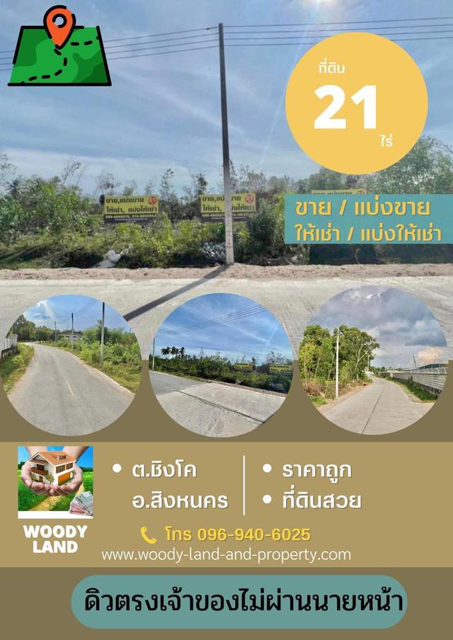 ที่ดิน 1