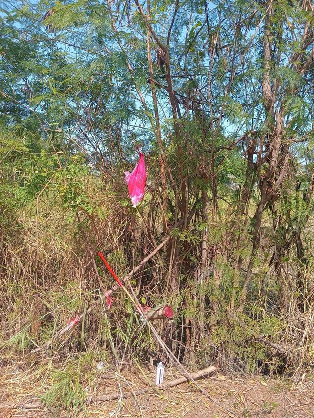 ขายถูกที่สุดที่ดินคลองสาม 1 ไร่ ติดถนนคอนกรีตสาธารณะ หน้ากว้างมาก ซ.12/9 อ.คลองหลวง จ.ปทุมธานี 4