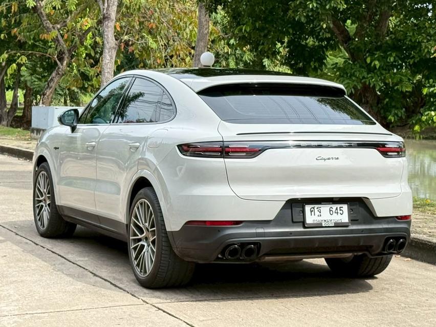 Cayenne Coupe Platinum 12