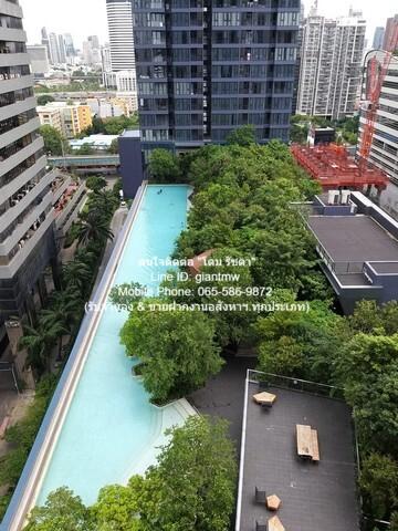 Condo. One9Five ASOKE - RAMA 9 วันไนน์ไฟว์ อโศก - พระราม 9 42 ตรม 1 BR 1 BR 30000 THB ไม่ไกลจาก MRT พระราม 9 ราคาดีสุด 4