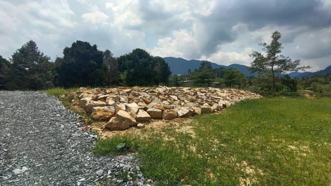 ที่ดินสวนทุเรียน ติดน้ำตกทุ่งเพล อ.มะขาม จ.จันทบุรี 10 ไร่ 11