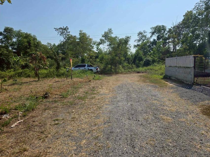 ขายด่วนที่ดิน 63 ตรว ติดถนนสาธารณะ ประชาสำราญ1 แขวงคลองสิบสอง เขตหนองจอก กทม. 7