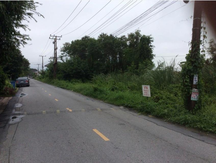 ที่ดินเปล่า​ติดถนนดำ 3