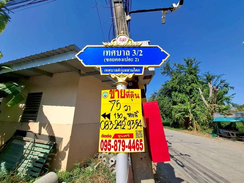 Vายถูกที่ดินซอยตองเปอะ 75 ตารางวา  ติดถนนน 2 ด้าน ถมแล้ว เทศบาล 3/2 อ.สามโคก จ.ปทุมธานี 1