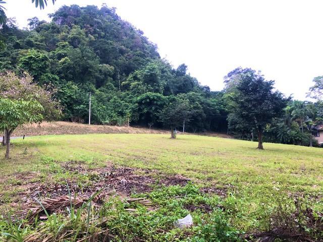 ขายที่ดิน 470 ตรว. แปลงมุม ในสนามกอล์ฟเซอร์เจมส์คันทรีคลับ Forest Hill มวกเหล็ก สระบุรี 3