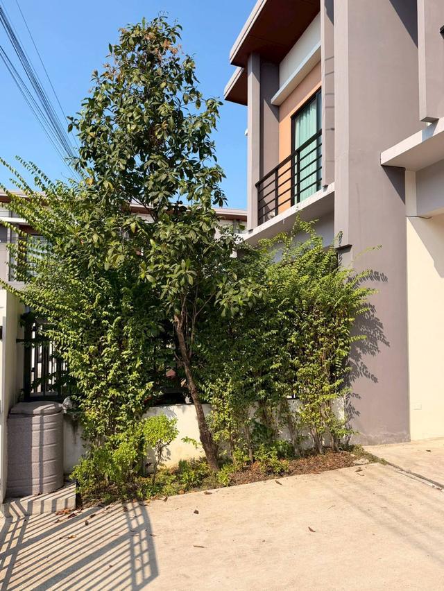 ขายทาวน์โฮม 2 ชั้น หมู่บ้านเนเชอร่า เทรนด์ รัตนาธิเบศร์-ราชพฤกษ์ 4