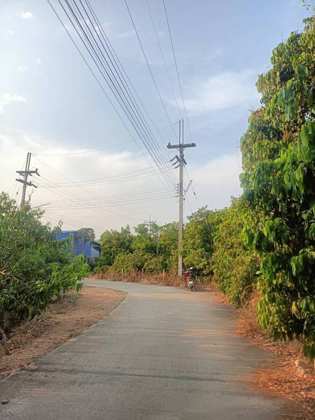 ขายที่ดินโฉนดครุฑแดง (เจ้าของขายเอง) 10