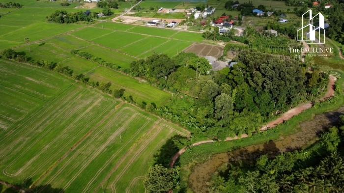 ขายที่ดินวิวเขา เกือบ 6 ไร่ เขาพระ จ.นครนายก  ทำเลสวย ติดถนนใหญ่ ใกล้แหล่งท่องเที่ยว เหมาะทำรีสอร์ท–คาเฟ่–บ้านพักตากอากาศ 4