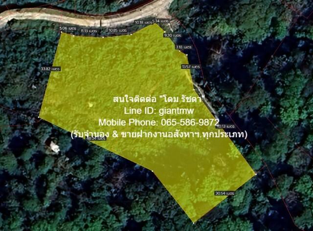 ขายที่ดินเปล่าบนภูเขา, วิวทะเล และมีถนนคอนกรีตหน้าที่ดิน ต.กมลา อ.กะทู้ จ.ภูเก็ต (2 ไร่), ราคา 34 ล้านบาท 3