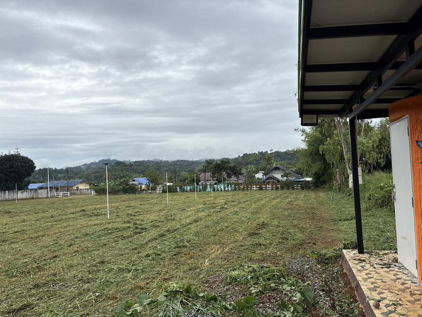 ที่ดินสถานที่ท่องเที่ยว ครุฑแดง หน้ากว้าง 67 ม ซีเมนต์ ระบบนำ้ - ไฟฟ้าเข้าถึง 18