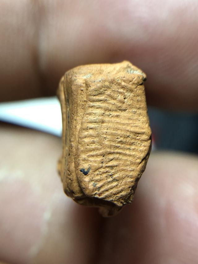 พระรอดกรุวัดมหาวันพิมพ์ใหญ่จังหวัดลำพูน รูปย่อยที่ 4