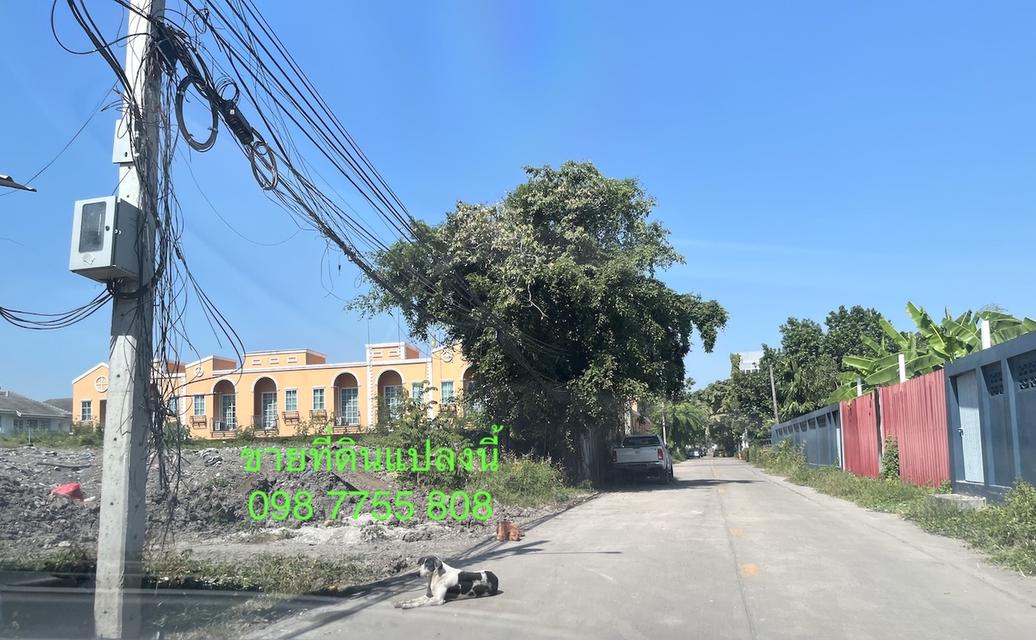 ขายที่ดิน 326 วา ใกล้ ม.รามคำแหง หัวหมาก 098 7755 808 14