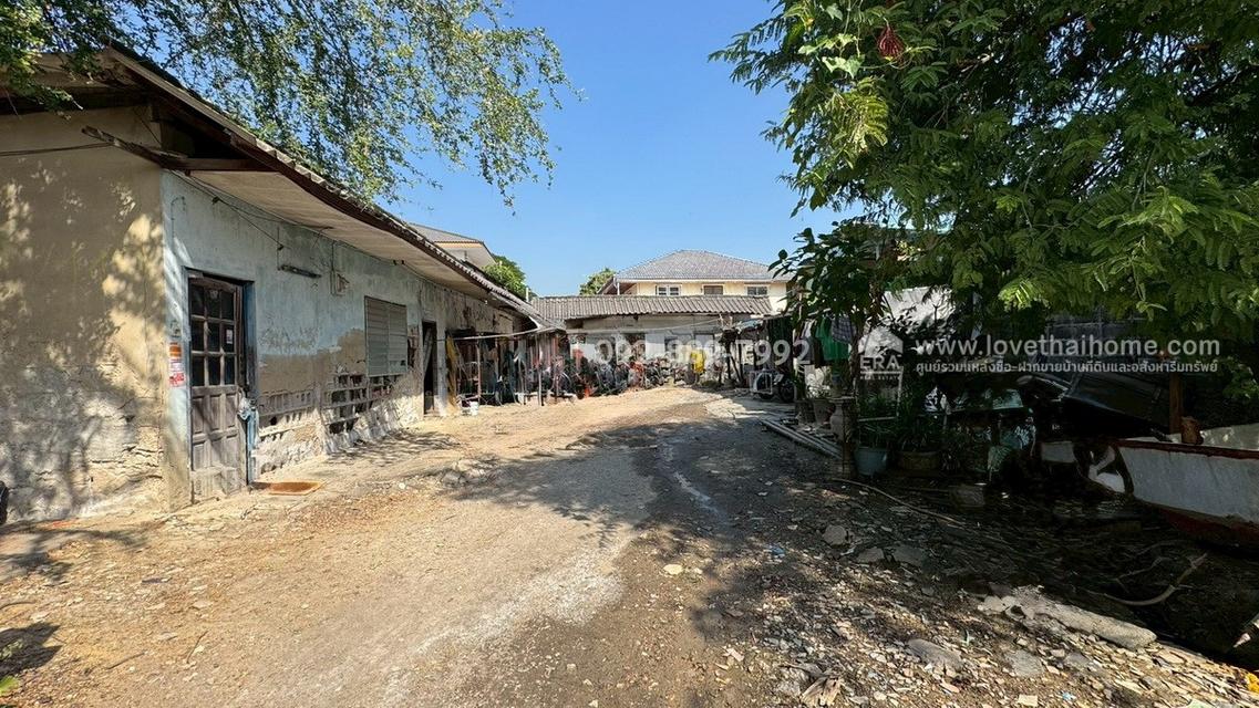 ขายที่ดิน ถนนเพชรเกษม79 ซอย14 พื้นที่ 50 ตรว. ขาย 1.4 ล้านบาท ทำเลดี ใกล้ตลาดสด เพชรเกษม79 4