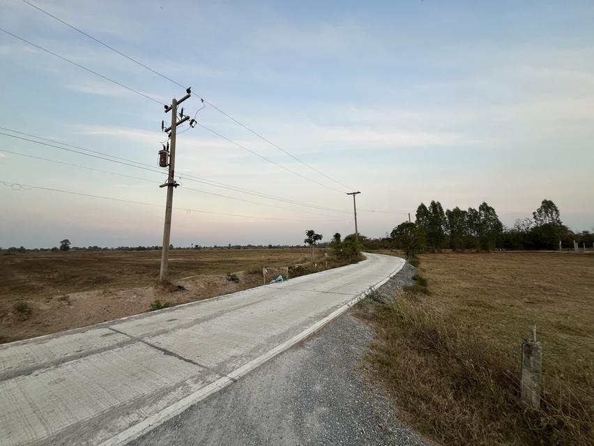 📌 ที่ดิน 76 ไร่ อำเภอดอนเจดีย์ จังหวัดสุพรรณบุรี 15