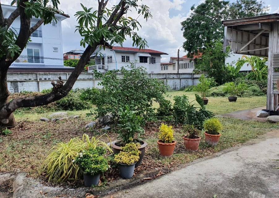 ที่ดินี้ทำเลทอง ใกล้แยกสุทธิสาร ซอยอินทามระ 28 2