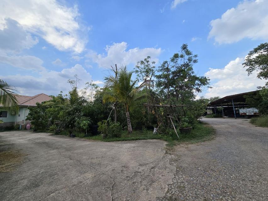 ที่ดิน บ้าน พร้อมโกดัง  6