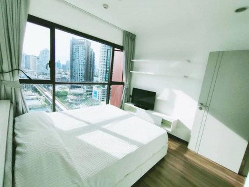 For Rent WYNE by Sansiri  (วายน์ บาย แสนสิริ) Condominium ใกล้ BTS พระโขนง 3