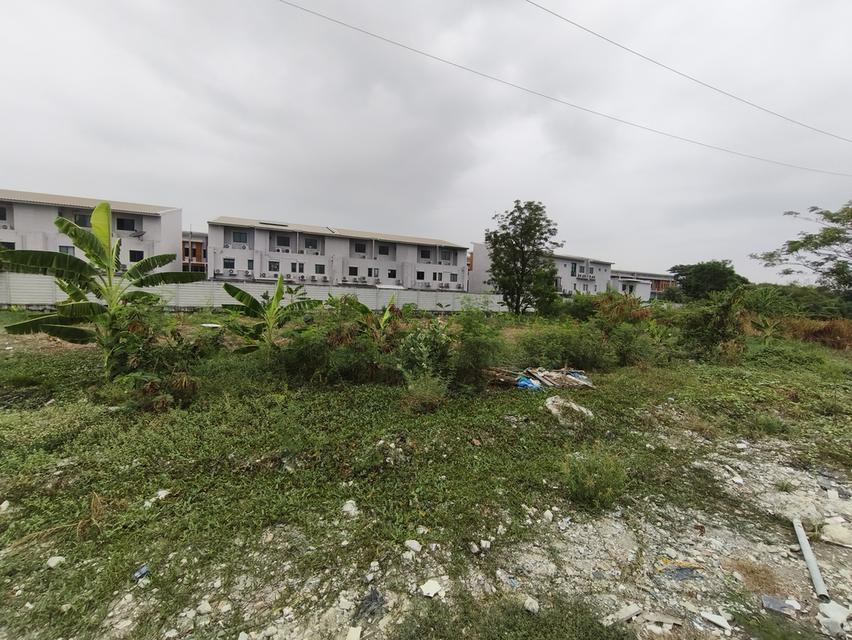 ที่ดินขนาด 100-200 ตารางวา ถ.พัฒนาการ เขตประเวศ 3