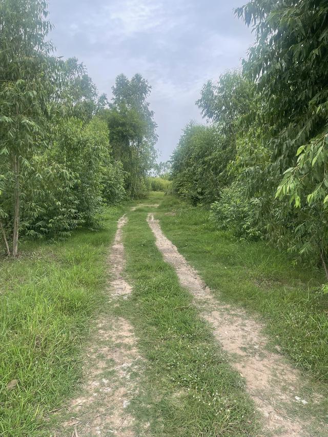ทึ่ดินเปล่าติดถนนใหญ่ 10