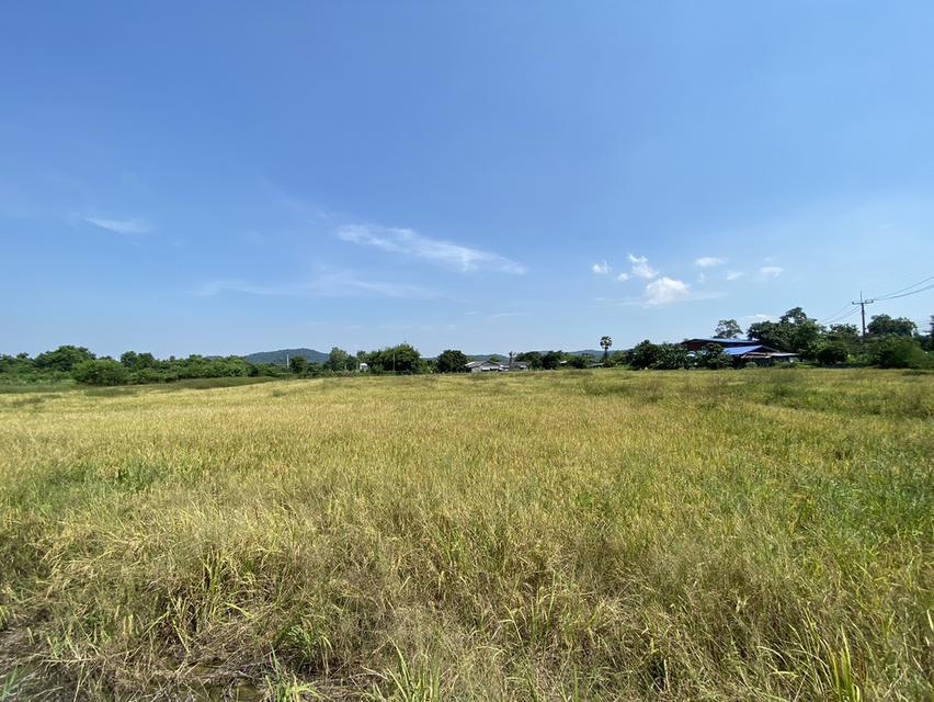 ขายที่ดินโคกกรุง แก่งคอยบ้านนา (ชุมชนชำผักแพว) อ.แก่งคอย จ.สระบุรี 10