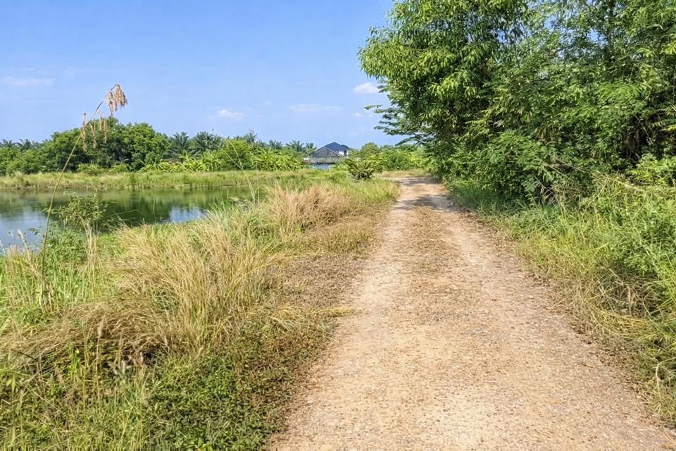 ขายที่ดินแปลงเดียว 2 โฉนด 250 ไร่ หนองหมู วิหารแดง สระบุรี เหมาะทำเกษตรและลงทุน 5