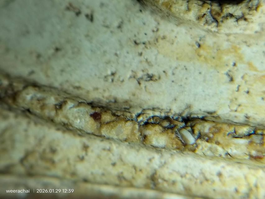 พระสมเด็จวัดระฆังพิมพ์เกศบัวตูม รูปที่ 9