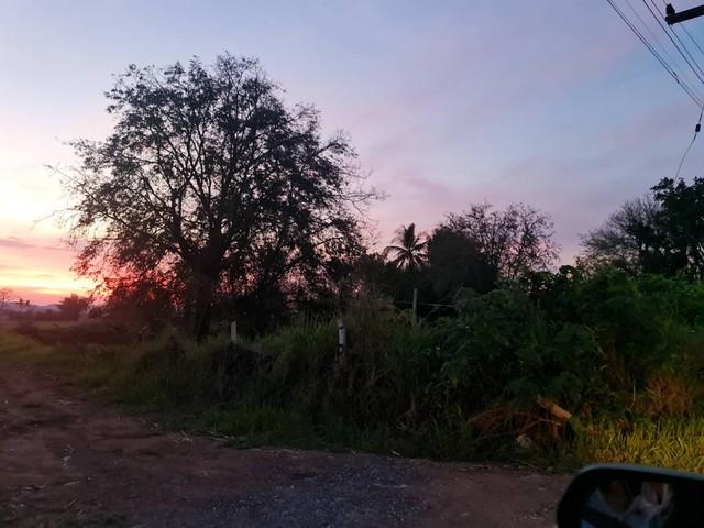 ขายที่ดินปากช่อง แบ่งขาย 2ไร่- 8ไร่ โฉนด ต.วังไทร อ.ปากช่อง จ.นครราชสีมา ไร่ละ 2.9 ลบ.สูงจากระดับน้ำทะเลมาก หนีน้ำท่วมได 3