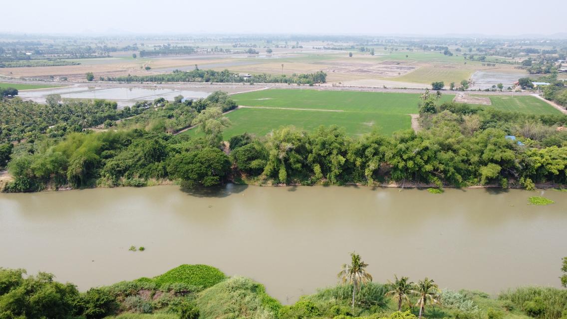 🎉 ที่ดินติดแม่น้ำท่าจีน สุพรรณบุรี - ราคาพิเศษ ไร่ละไม่ถึงล้าน! 🎉 9