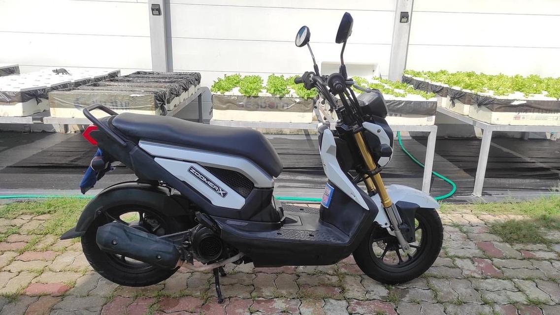 Honda Zoomer X 2012 จังหวัด สมุทรปราการ 4