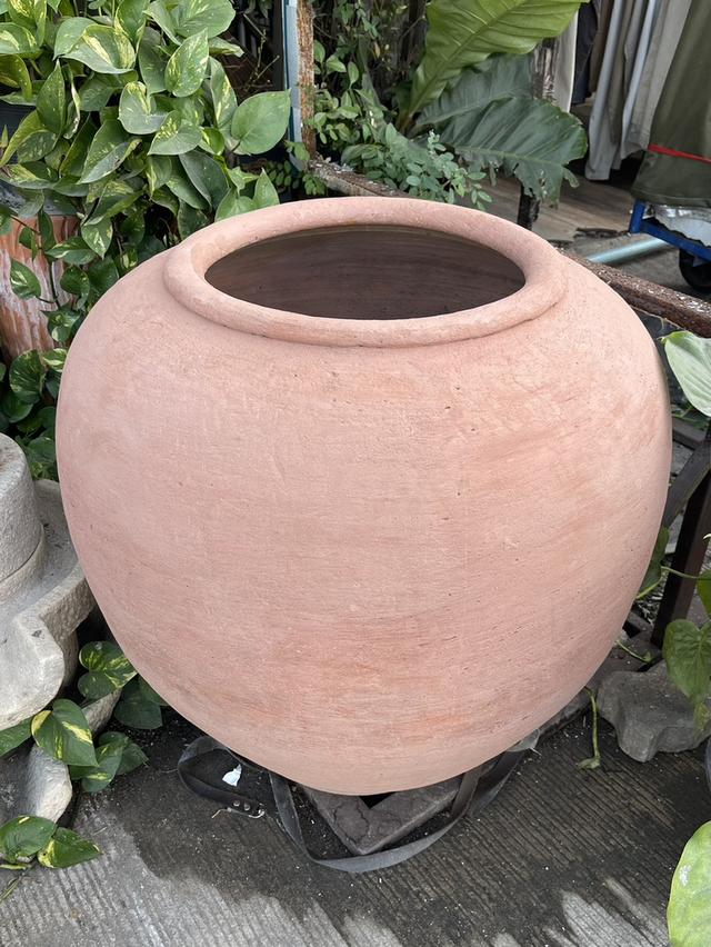 โอ่งแดง ศิลปะอยุธยา ใบใหญ่จัมโบ้ ขนาด65ซม โอ่งดินเผาโบราณ อายุหลัก100ปี รูปที่ 4