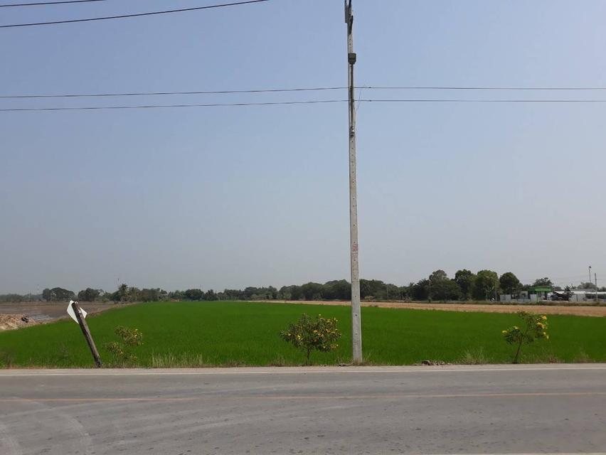 ขายที่ดิน 14 ไร่ 3 งาน 63 ตารางวา ปทุมธานี บางเตย สามโคก ติดสนามยิงปืนราชสีห์ 6