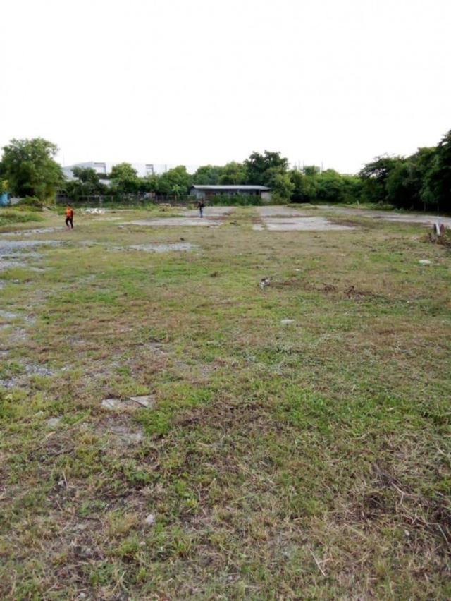 ให้เช่า ที่ดินผังม่วง​ลายติดถนนเส้นหลักในนิคมเอเชีย​ 5 ไร่​ 2​ งาน​ 66​ ตารางวา​ ปรับหน้าดินเรียบร้อยแล้วมีเสาไฟ 2 ต้น 2