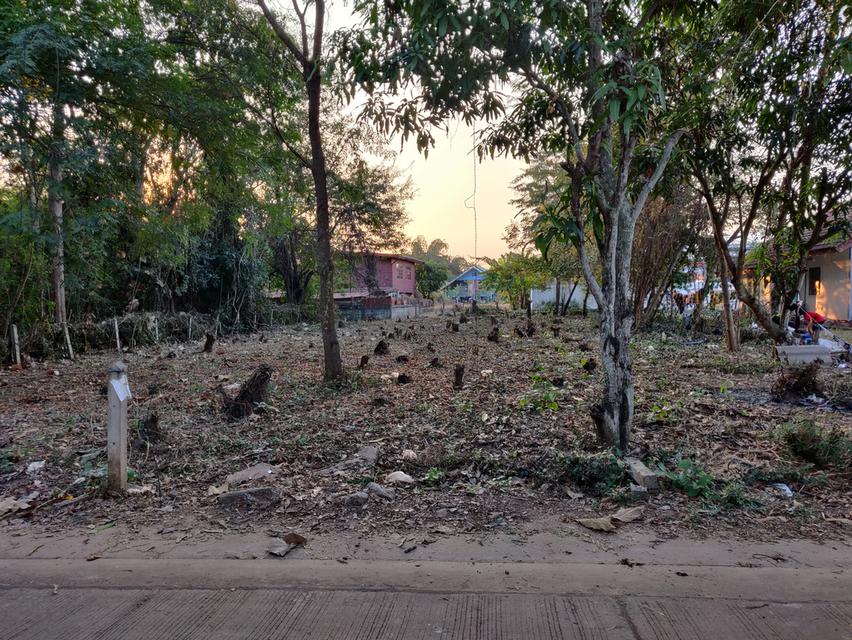 ขายที่ดินสวย ใกล้ทางหลวง ตำบลหนองบัว เมืองอุดรธานี 4