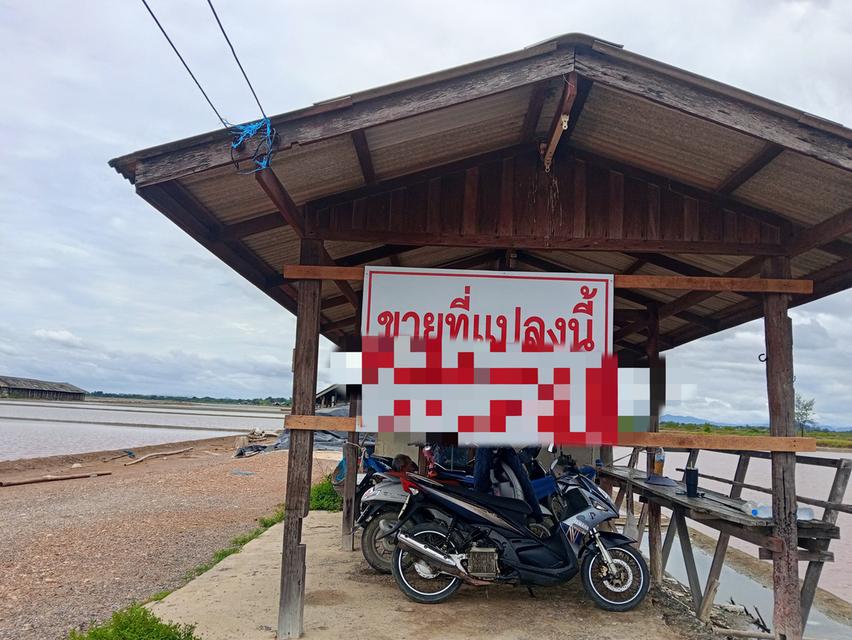 นาเกลือยกแปรง ประมาณ70-80ไร่ 1