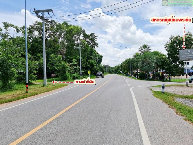 ที่ดินแปลงสวยสำหรับบ้านสวน สไตล์ธรรมชาติ ใกล้บึงน้ำ (มีน้ำตลอดปี) อ.พระยืน จ.ขอนแก่น 5