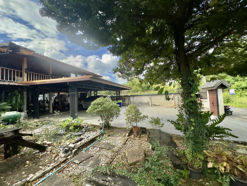 บ้านเดี่ยว ปลูกสร้างเอง พื้นที่ 98 ตรว. ซอยคู้บอน 25 แยก 2 แขวงรามอินทรา เขตคันนายาว กรุงเทพมหานคร 12