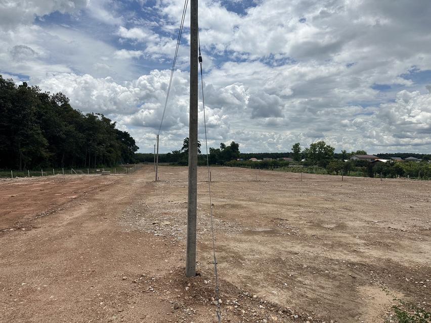 ขายด่วนที่ดิน ร่องส้าน ต.ร่มเย็น อ.เชียงคำ พื้นที่ 8 ไร่ 96 วา พร้อมสร้างบ้าน 4.8 ล้าน ✅ โฉนดครุฑแดง ✅ถมแล้ว แบ่งแล้ว ✅ติดถนน ทุกแปลง 11