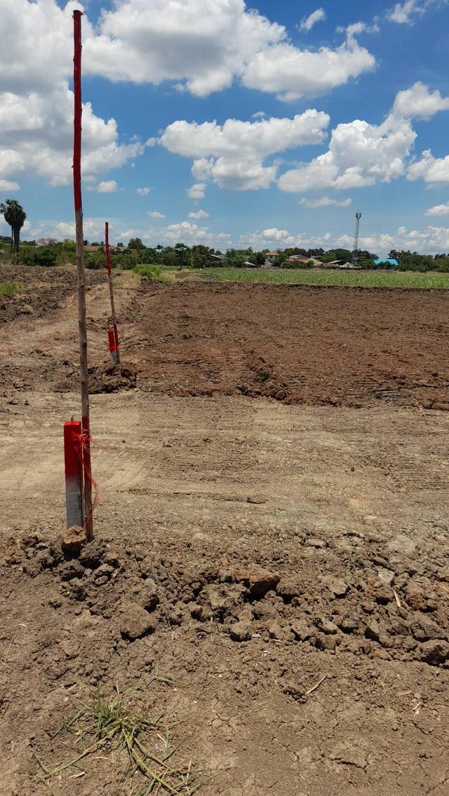 land for sale ขายที่ดินสวยมาก กำแพงแสน แบ่งขายได้ โฉนดพร้อมโอน 200 ตรว แบ่งขายได้ 6